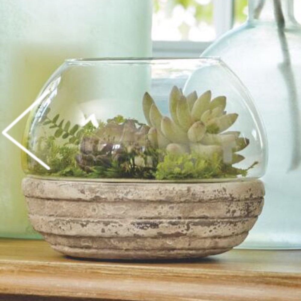 Round glass with cement base terrarium